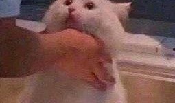 今日吃瓜-热心的朝阳群众吃瓜,揭秘今日热点事件